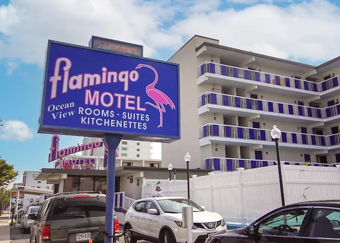 Airport Hotel: Flamingo Motel