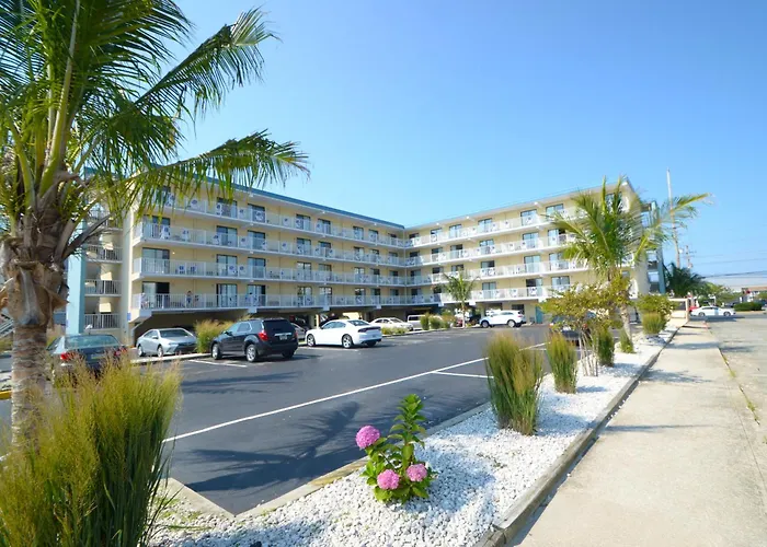 Motel: Coastal Palms Inn And Suites